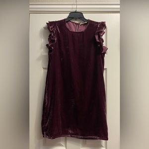 Chelsea & Violet Velvet Shift Mini Dress Ruffle Sleeve Sz M